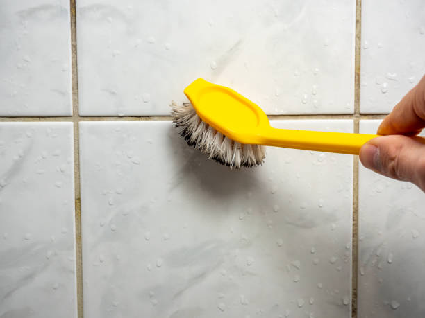 Five Forks, SC Mold Removal Company