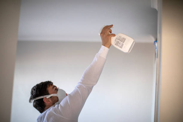 Best Professional Mold Removal  in Five Forks, SC