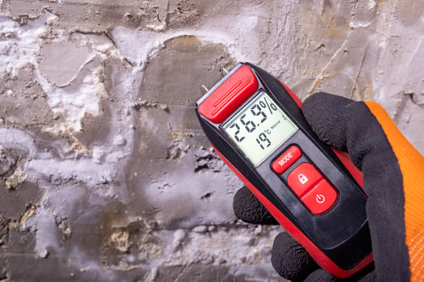 Best Mold Removal Process  in Five Forks, SC