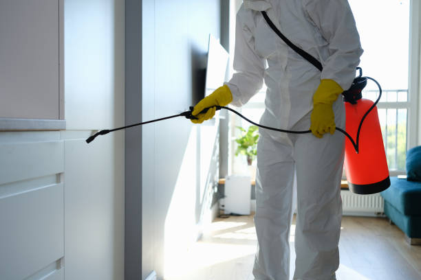 Best Commercial Mold Removal  in Five Forks, SC