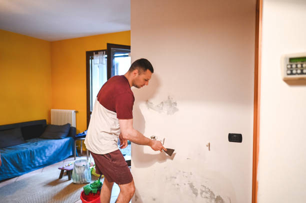Office Mold Removal Services in Five Forks, SC